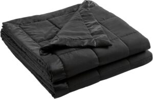 Madison Park Queen Size Blanket Ult...