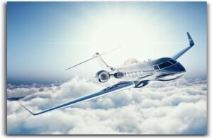 Private Jet Airliner Learjet 45 Bus...