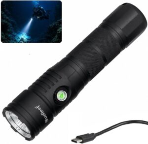Blue Reef 2000 Lumens Scuba Dive Li...
