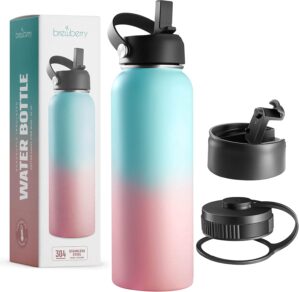 Stainless Steel Insulated Water Bot...