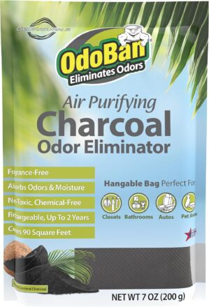 OdoBan Air Purifying Charcoal Natur...