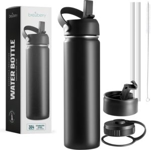 Stainless Steel Insulated Water Bot...