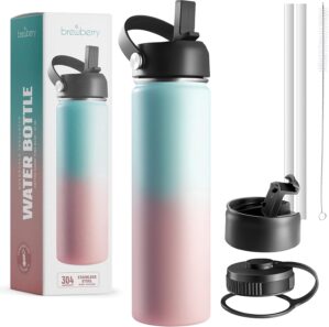 Stainless Steel Insulated Water Bot...