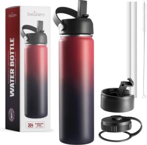 Stainless Steel Insulated Water Bot...