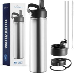Stainless Steel Insulated Water Bot...