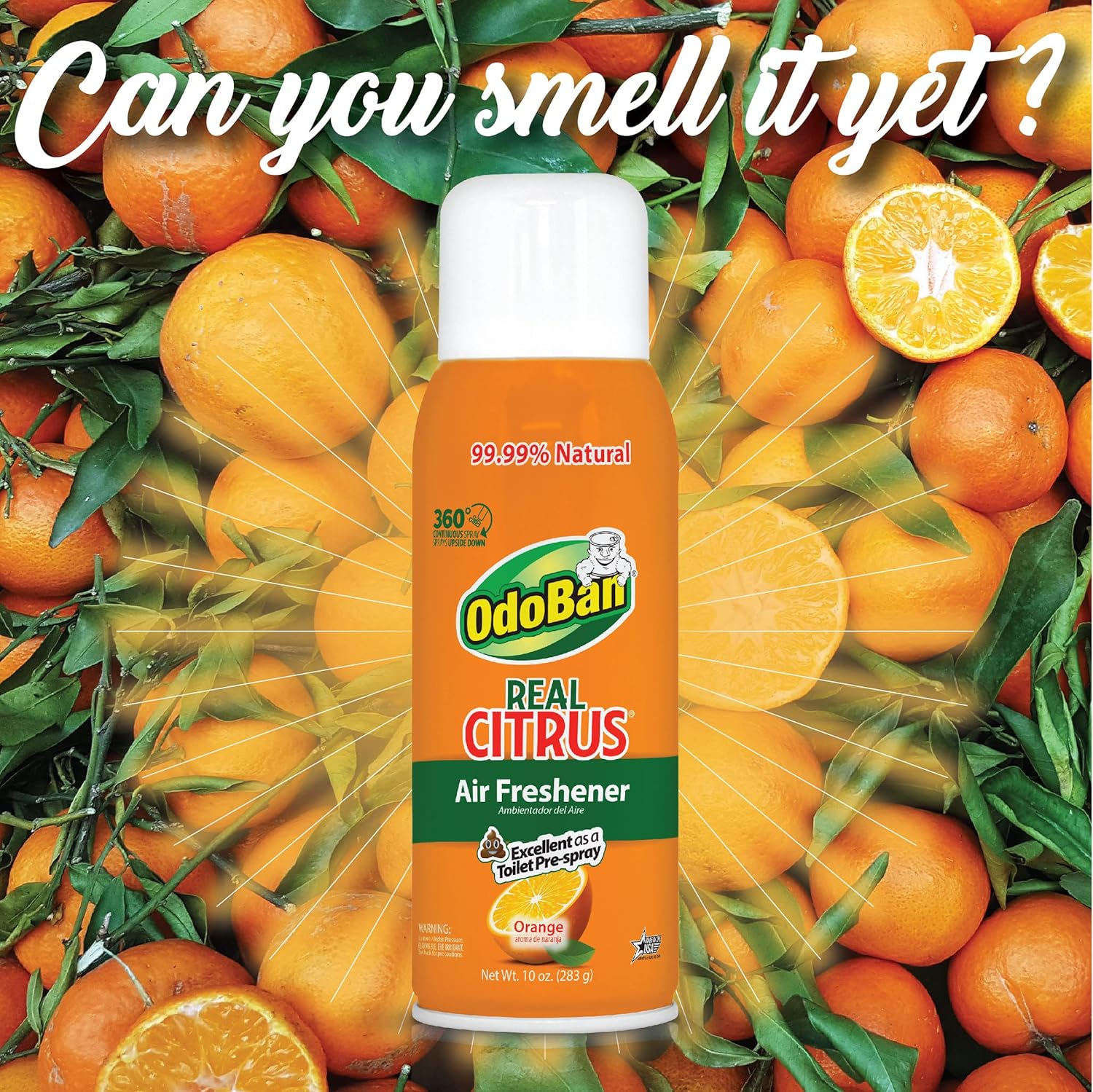 OdoBan Aroma Eliminator, 360-Degree Continuous Spray Natural Oil Real Citrus Air Freshener, Toilet Spray, 2-Pack, 10 Ounces Each, Orange Scent - Image 2