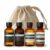 Aesop Arrival Travel Shower Set (4-Piece) Hair & Body Care Kit – Shampoo, Conditioner, Geranium Leaf Body Cleanser & Rind Concentrate Body Balm – 1.7oz/50mL Each – Gift Set with Reusable Canvas Bag