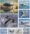 Wallbuddy Military Jets Plane Wall Art Set of 9 Posters | Unframed Airplane Decorations for Boys Room | Military Aircraft Wall Decor Patriotic | Aviation Art Fighter Jets (12X16 inches)