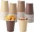 60 Pack 9 Ounce Brown Disposable Paper Cups, Heavy-Duty PE Lined with 4 Gradient Colors, Leak-Proof Party Cups for Birthday, DIY & Holiday Gatherings